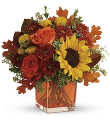 Teleflora's Hello Autumn Bouquet from Arjuna Florist in Brockport, NY
